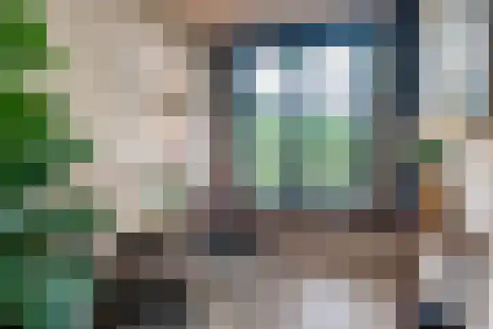 Wyns 39 Wyns thumbnail 32