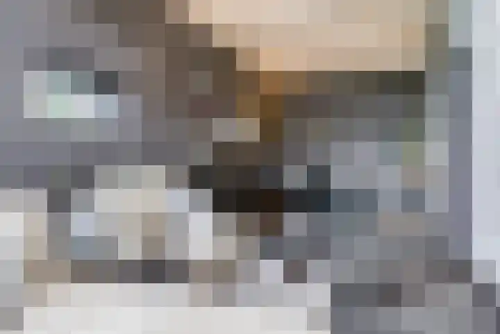 Wyns 39 Wyns thumbnail 34