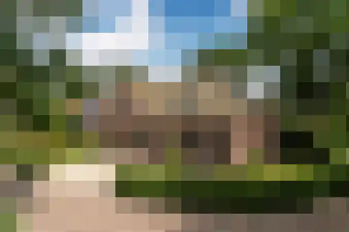 Wyns 39 Wyns thumbnail 4