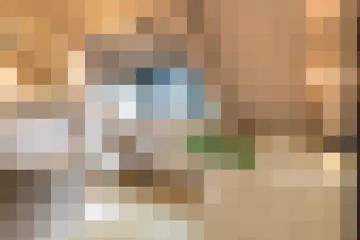 Wyns 39 Wyns thumbnail 42