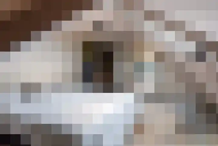 Wyns 39 Wyns thumbnail 47