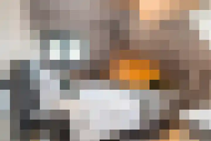 Wyns 39 Wyns thumbnail 48