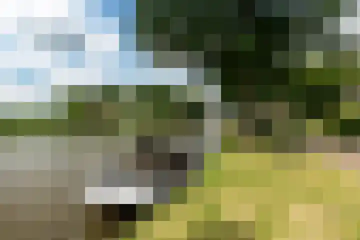 Wyns 39 Wyns thumbnail 5