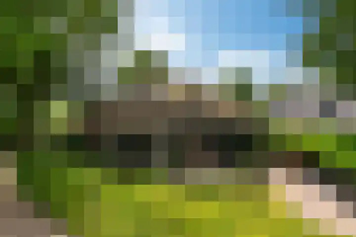 Wyns 39 Wyns thumbnail 56