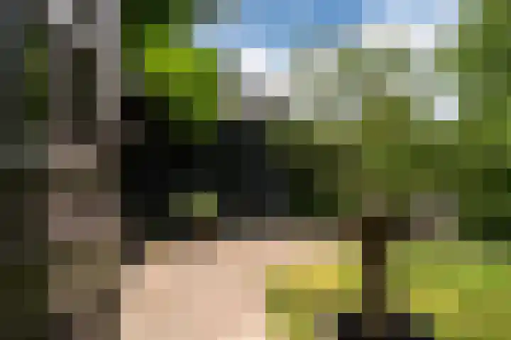 Wyns 39 Wyns thumbnail 57