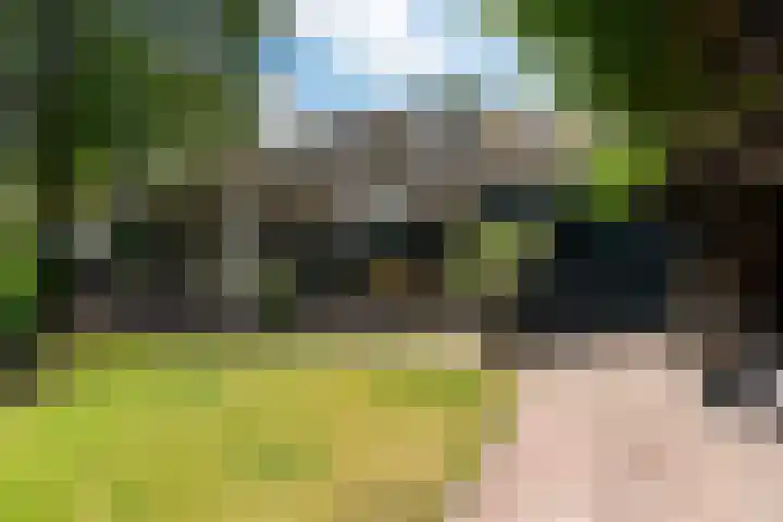Wyns 39 Wyns thumbnail 58