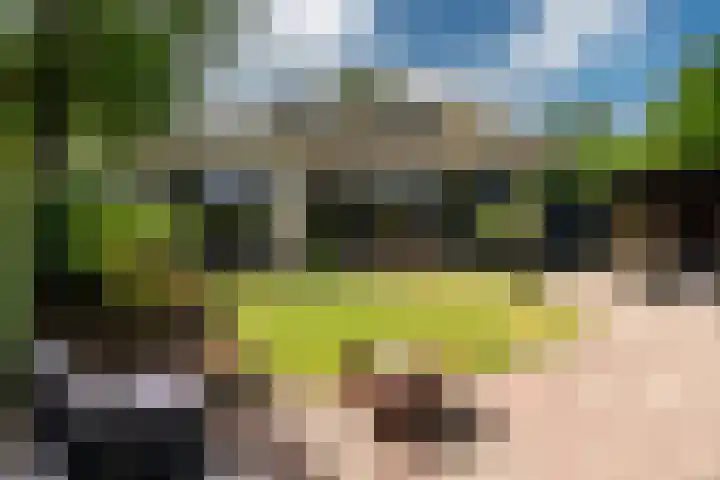 Wyns 39 Wyns thumbnail 59