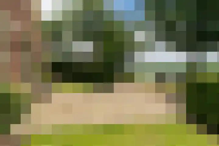 Wyns 39 Wyns thumbnail 6