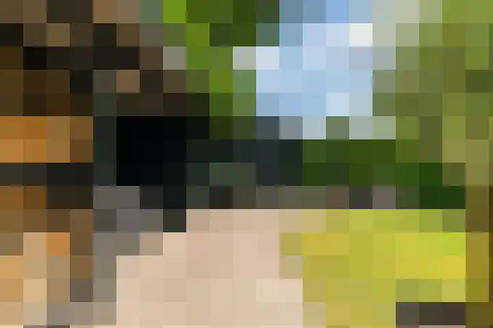 Wyns 39 Wyns thumbnail 60