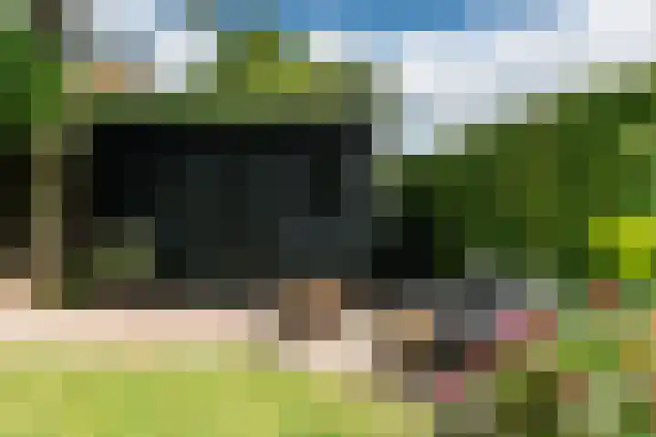 Wyns 39 Wyns thumbnail 62