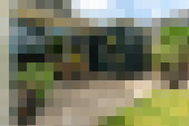 Wyns 39 Wyns thumbnail 63