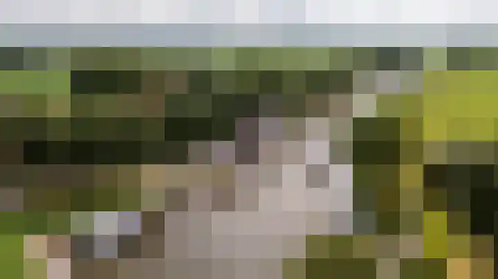 Wyns 39 Wyns thumbnail 65