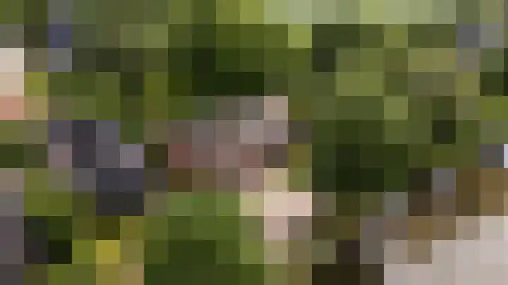 Wyns 39 Wyns thumbnail 66