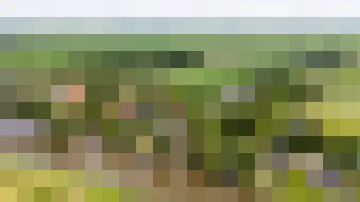 Wyns 39 Wyns thumbnail 67