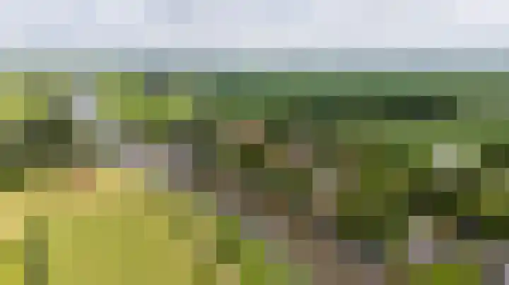 Wyns 39 Wyns thumbnail 68