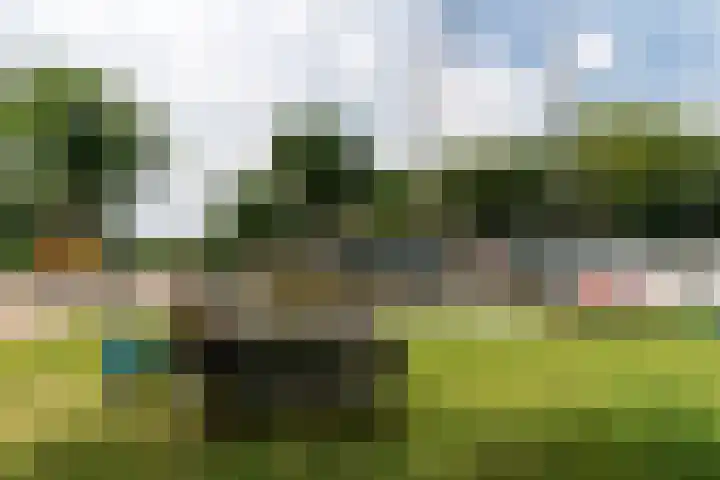 Wyns 39 Wyns thumbnail 69