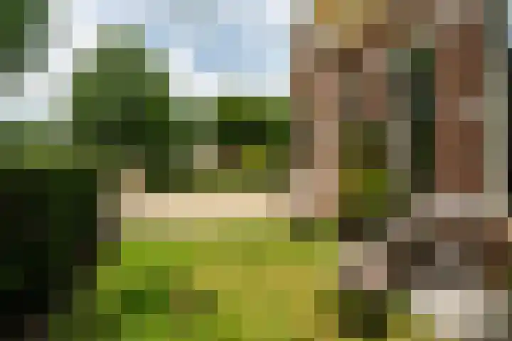 Wyns 39 Wyns thumbnail 7