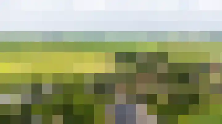 Wyns 39 Wyns thumbnail 70