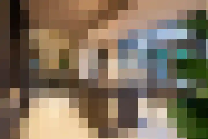 Wyns 39 Wyns thumbnail 76