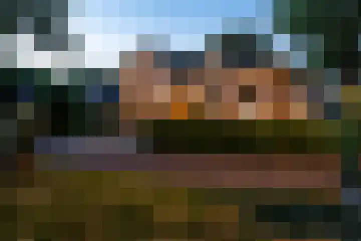 Wyns 39 Wyns thumbnail 77
