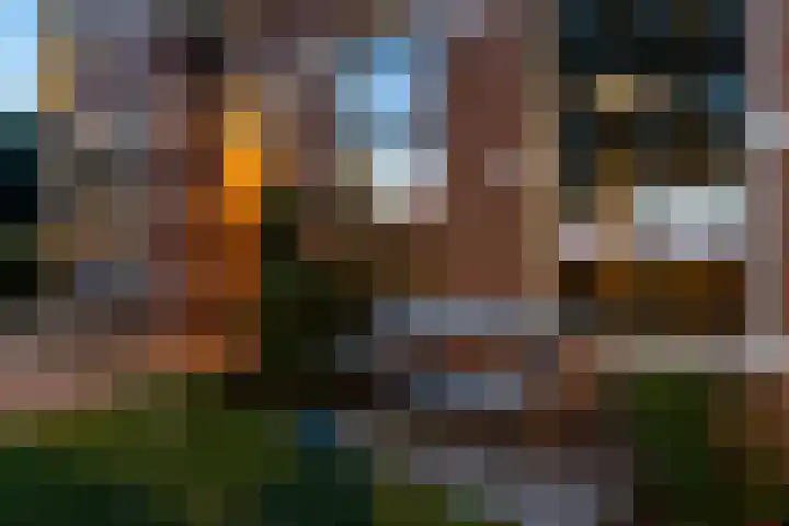 Wyns 39 Wyns thumbnail 78
