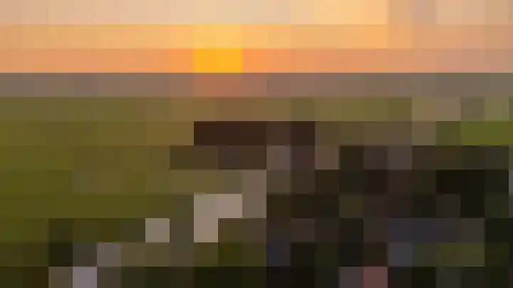 Wyns 39 Wyns thumbnail 79