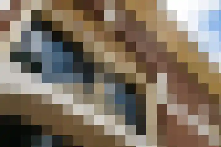 Wyns 39 Wyns thumbnail 8