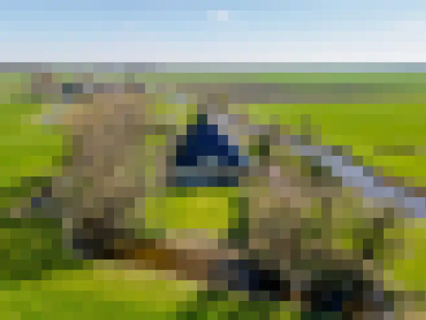 Wynser Binnepaed 11 Miedum