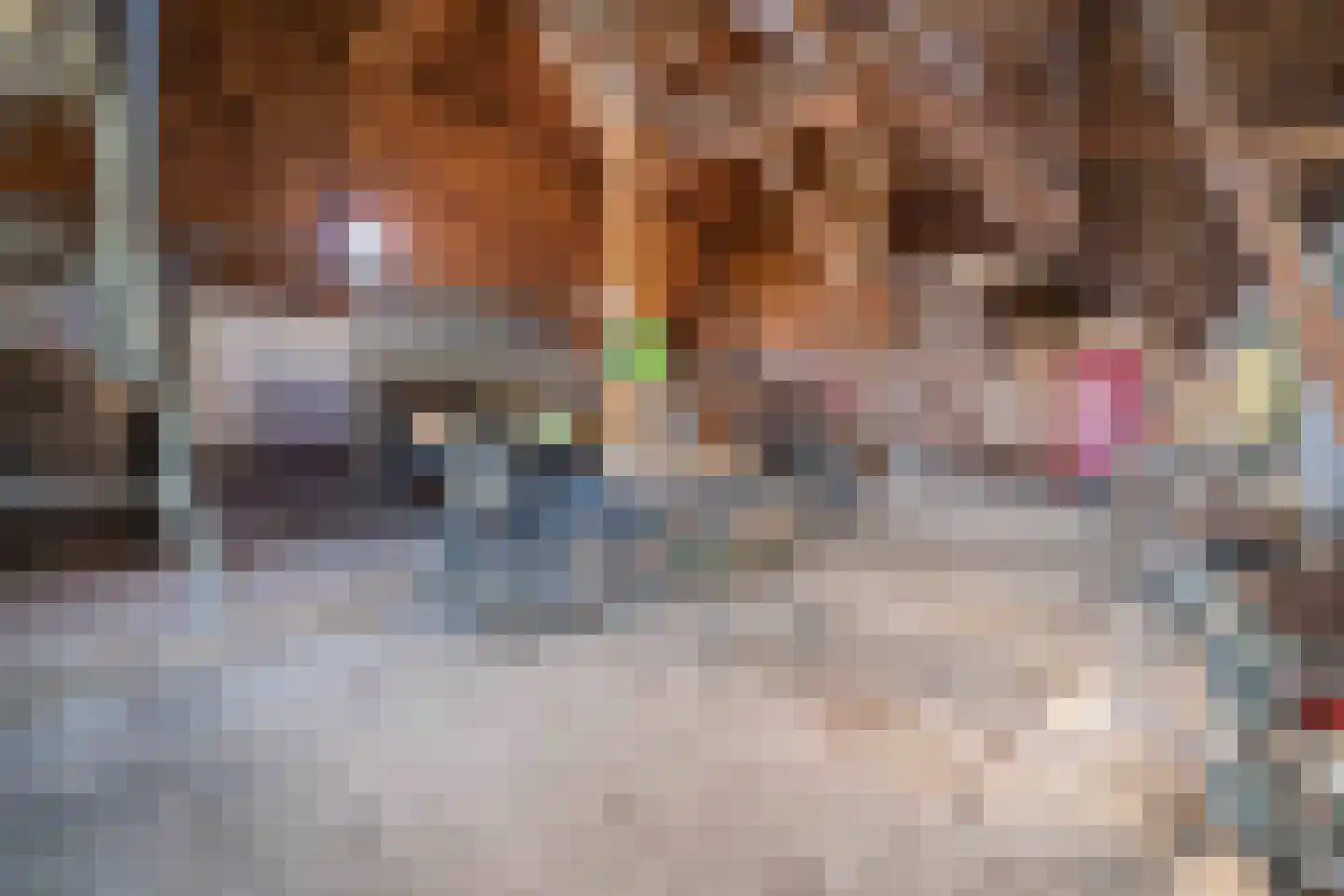 Wynser Binnepaed 11 Miedum thumbnail 36