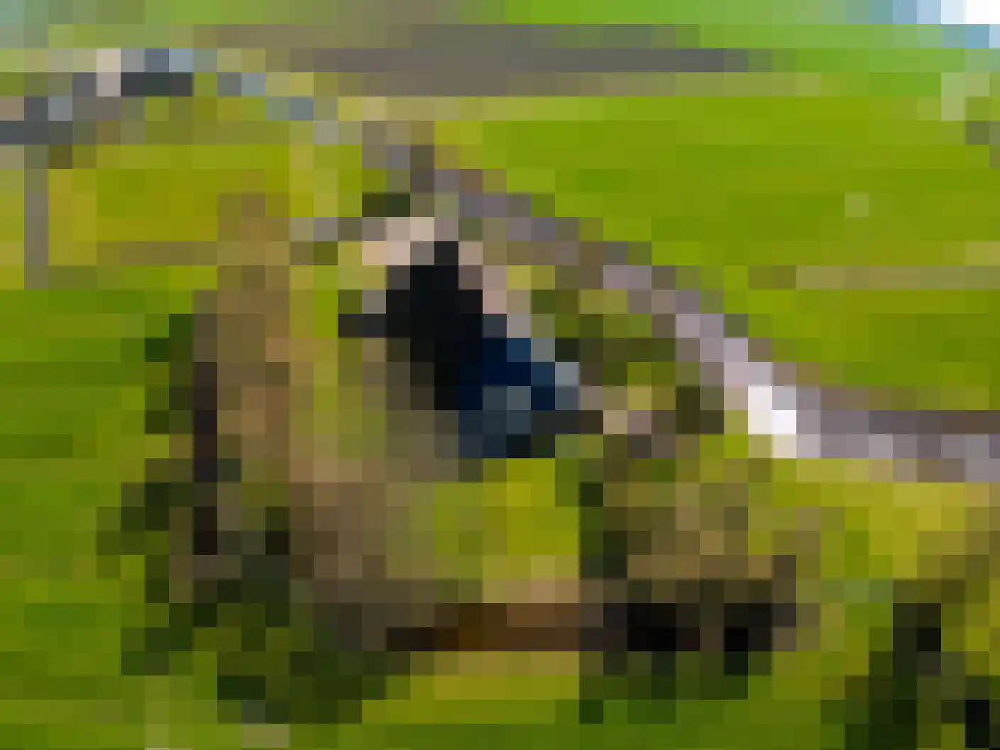 Wynser Binnepaed 11 Miedum thumbnail 4