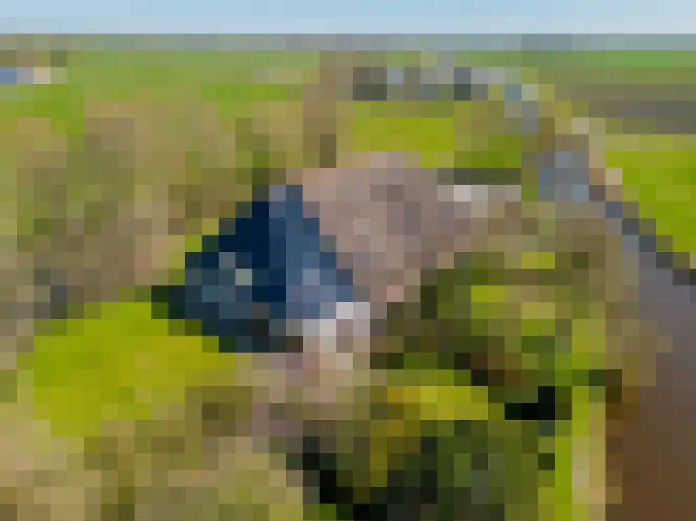 Wynser Binnepaed 11 Miedum thumbnail 53