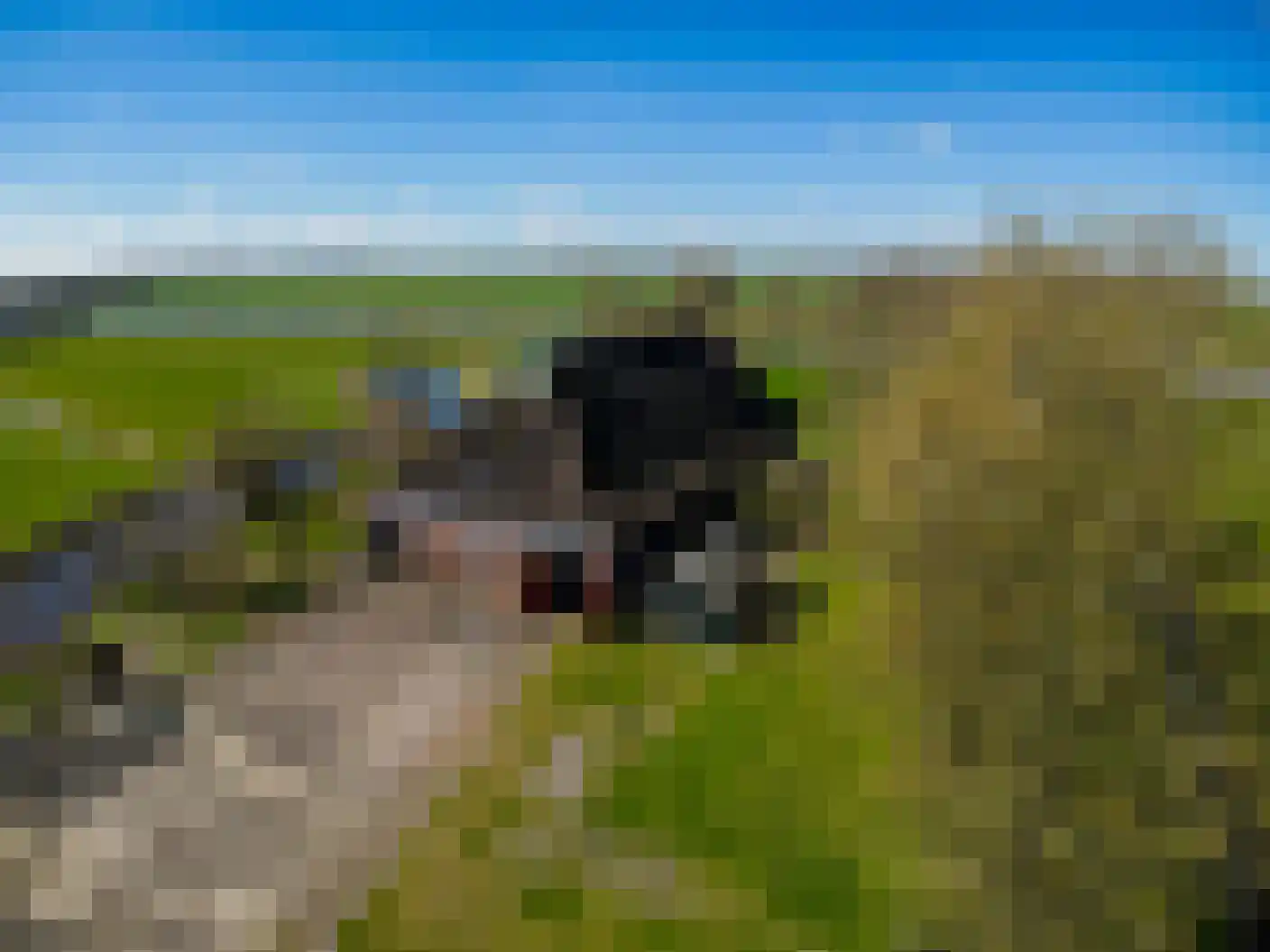 Wynser Binnepaed 11 Miedum thumbnail 54