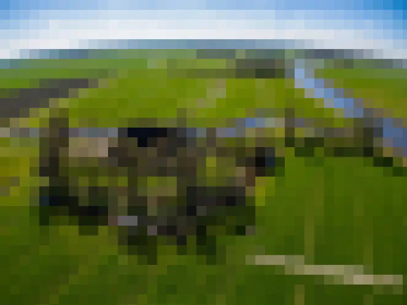 Wynser Binnepaed 11 Miedum thumbnail 55