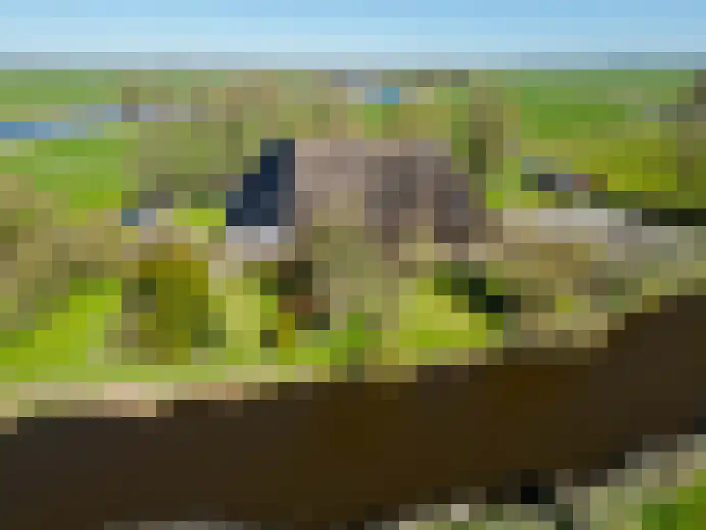 Wynser Binnepaed 11 Miedum thumbnail 56