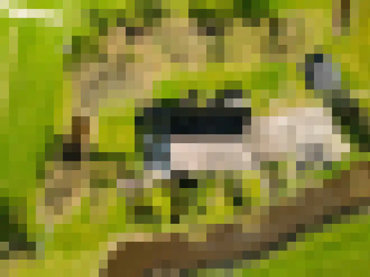 Wynser Binnepaed 11 Miedum thumbnail 58
