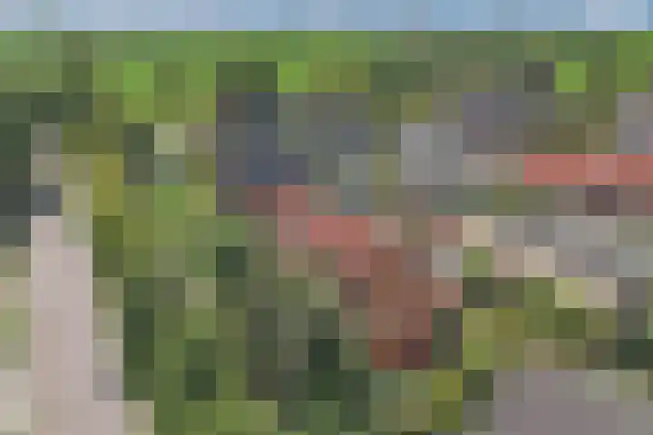 Wynserdyk 14 Easterein