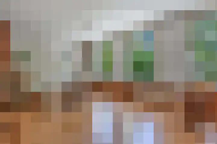 Wynserdyk 14 Easterein thumbnail 11