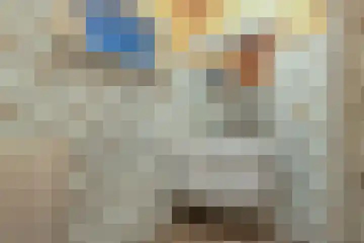 Wynserdyk 14 Easterein thumbnail 21