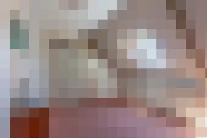 Wynserdyk 14 Easterein thumbnail 29