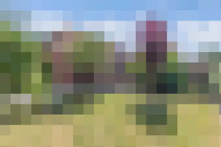 Wynserdyk 14 Easterein thumbnail 4
