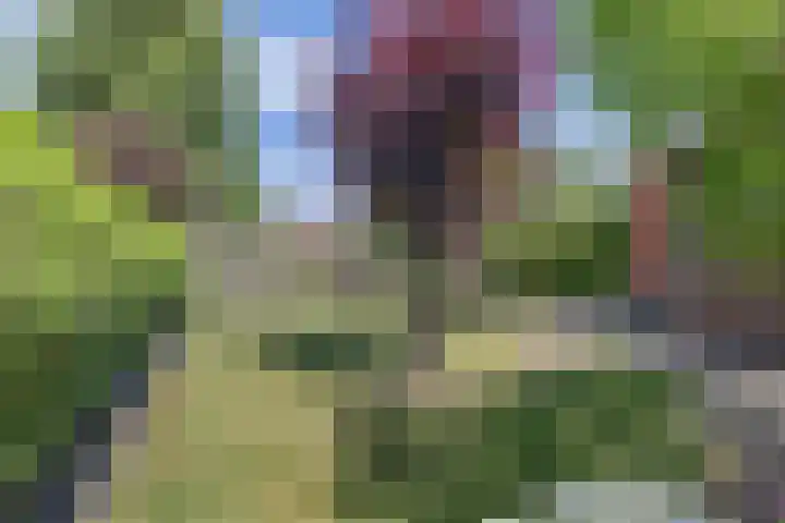 Wynserdyk 14 Easterein thumbnail 44