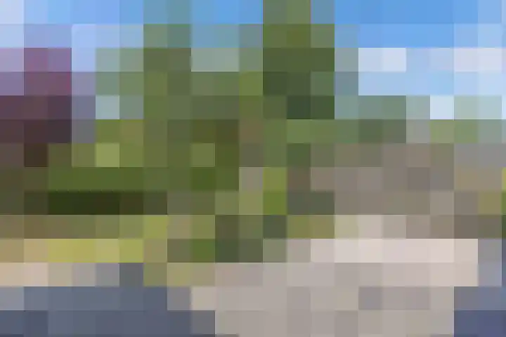 Wynserdyk 14 Easterein thumbnail 45