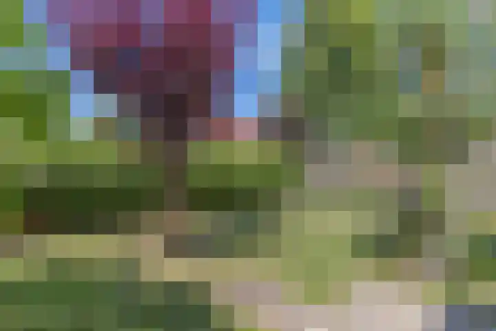 Wynserdyk 14 Easterein thumbnail 46