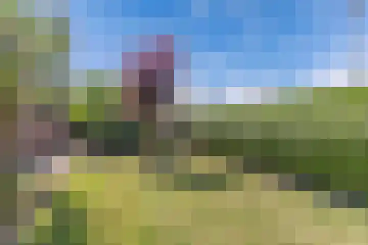 Wynserdyk 14 Easterein thumbnail 47