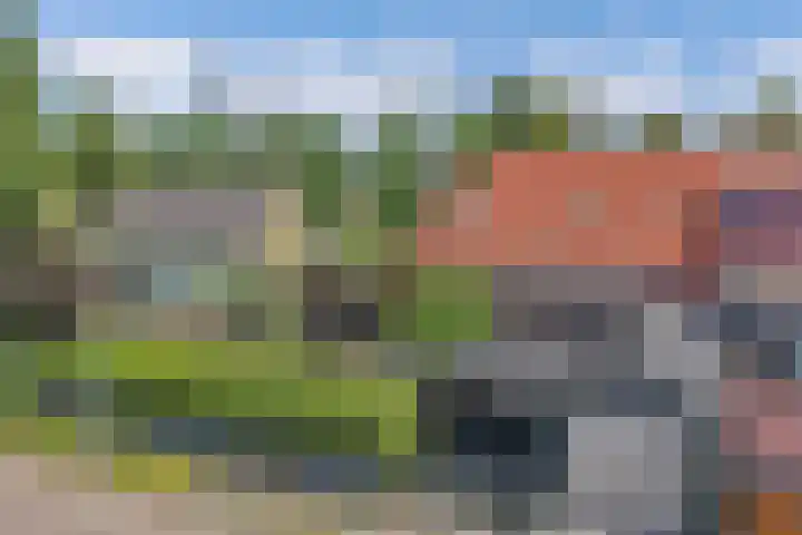Wynserdyk 14 Easterein thumbnail 48