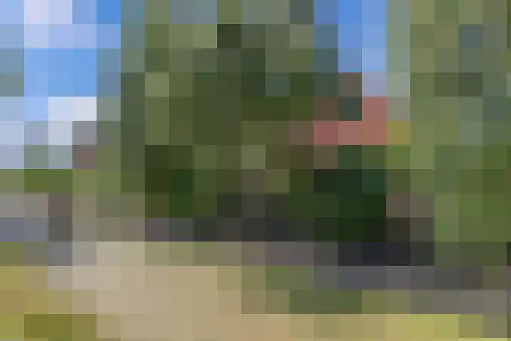 Wynserdyk 14 Easterein thumbnail 5