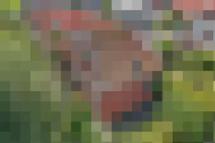 Wynserdyk 14 Easterein thumbnail 51