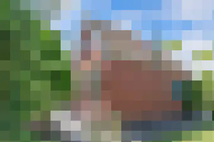 Wynserdyk 14 Easterein thumbnail 52
