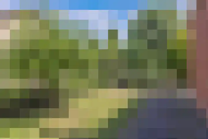 Wynserdyk 14 Easterein thumbnail 53