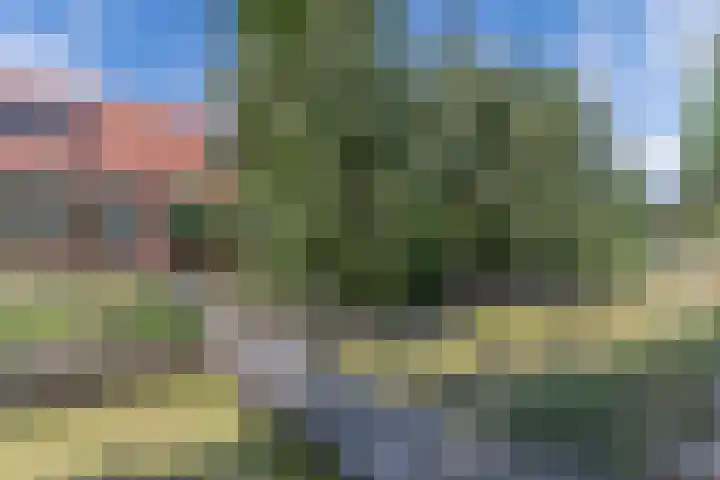 Wynserdyk 14 Easterein thumbnail 56